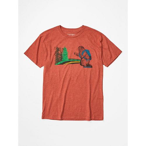 Marmot Trek T-Shirts For Mens Multicolor ZMO961243